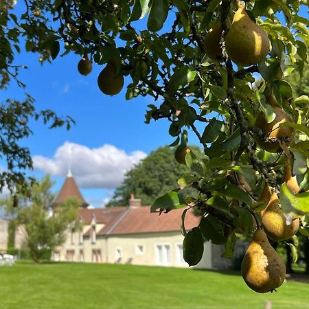 Le Petit Chateau Baye  외부 사진